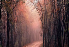 天涯社区如何赚钱：揭秘这个老牌论坛的收入来源！