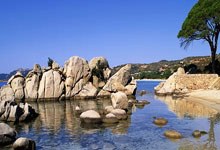 天涯社区如何赚钱：揭秘这个老牌论坛的收入来源！